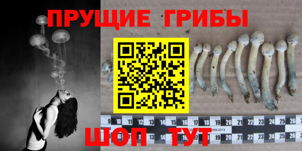 Псилоцибиновые грибы ЛСД Торжок