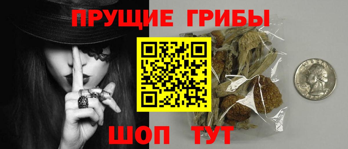 Торжок  Псилоцибиновые грибы GOLDEN TEACHER  Вход с VPN 